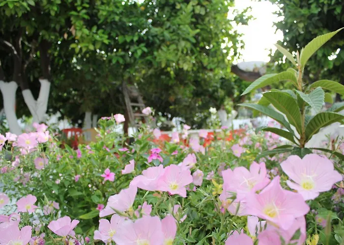 Electra Lindos (Rhodes)
