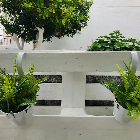 Electra Apartament *